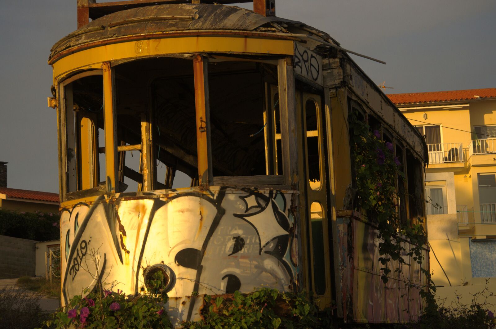 Nikon D5100 sample photo. Tram, graphite, abandoned photography