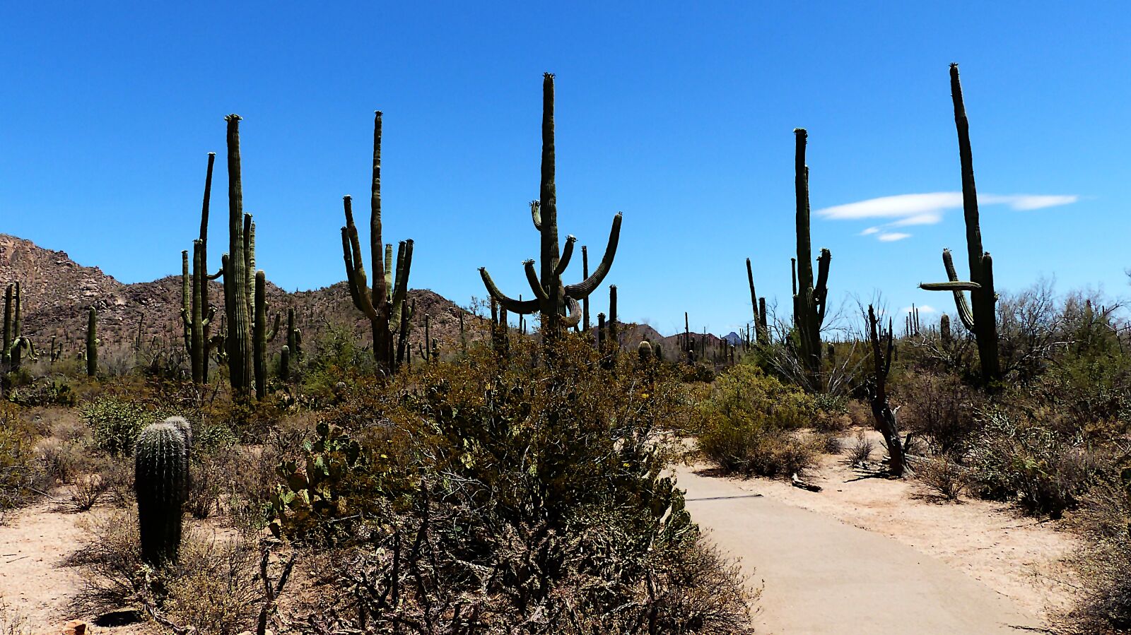 Panasonic Lumix DMC-FZ200 sample photo. Landscape, nature, america photography