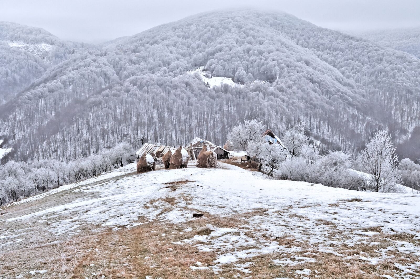 Nikon D90 sample photo. Snow, winter, cold photography