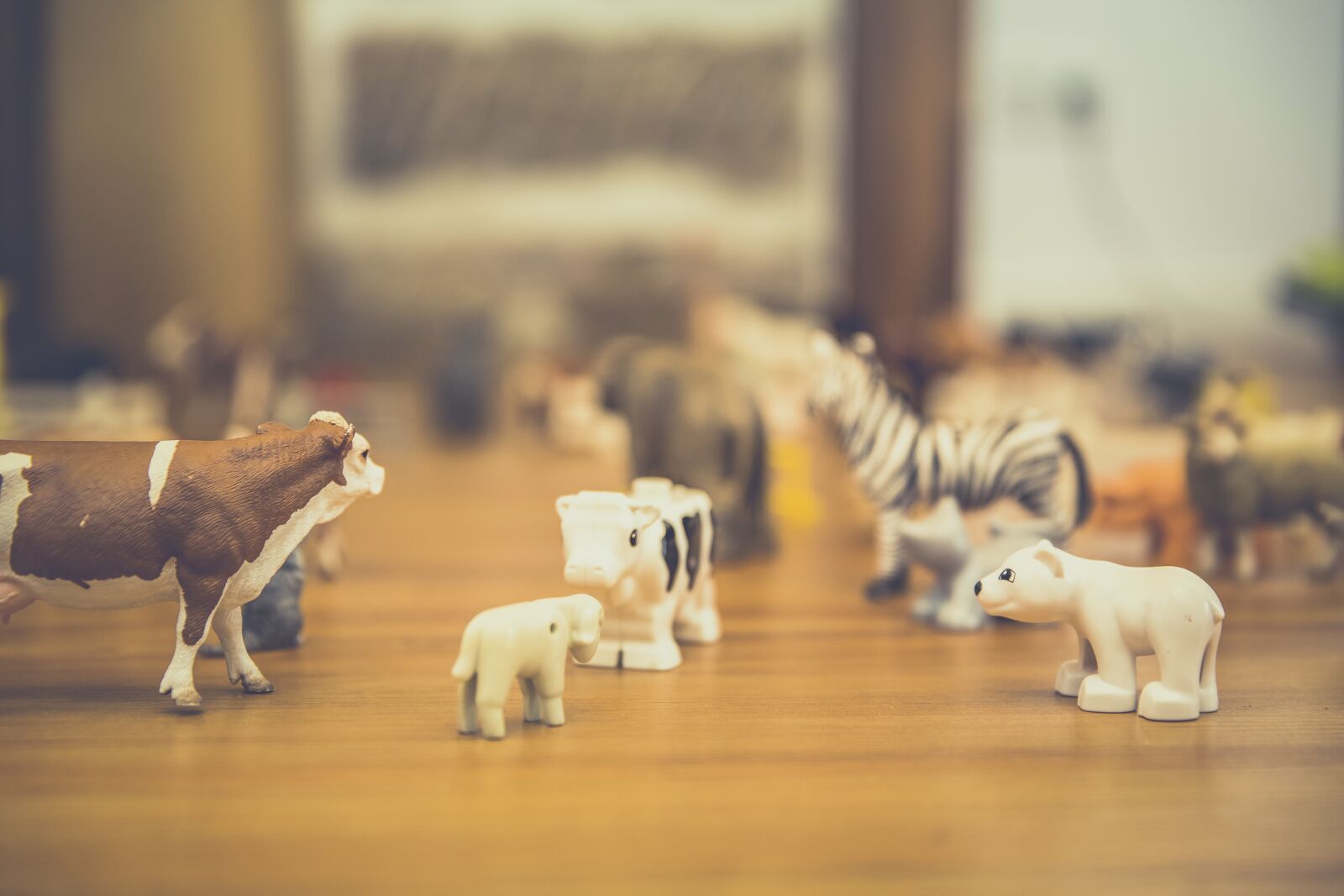 Canon EF 24-70mm F2.8L II USM sample photo. Child, toys, animals photography