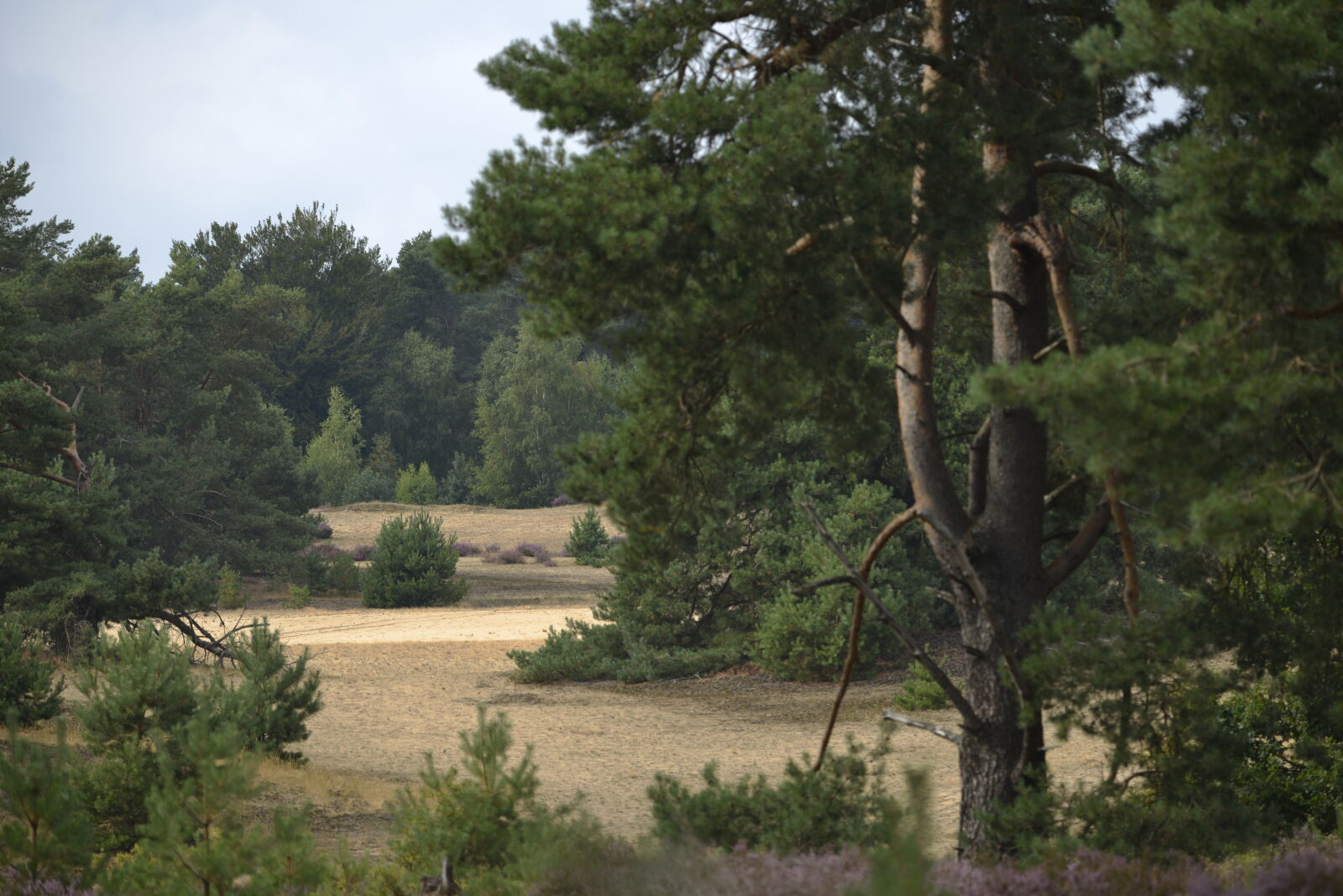Nikon D800 sample photo