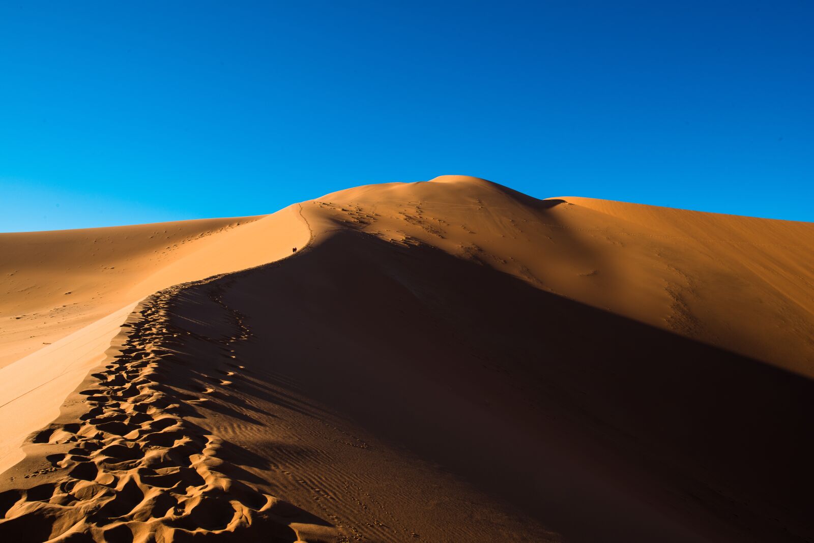 Nikon D800 sample photo. Sossusvlei, namibia, namib desert photography