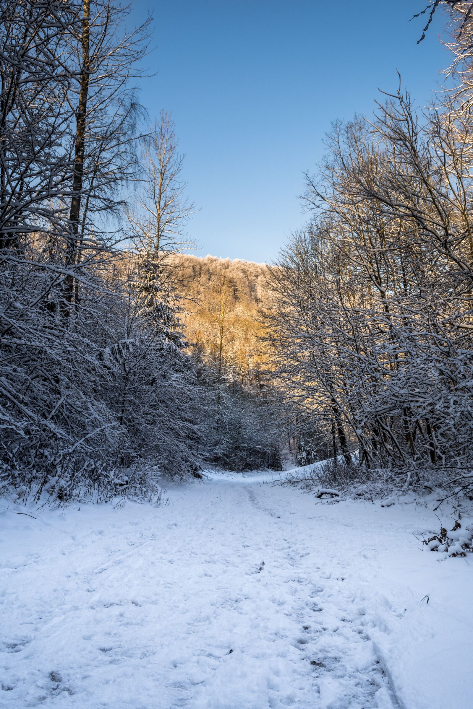 Nikon D7200 sample photo. Winter, landscape, winter world photography