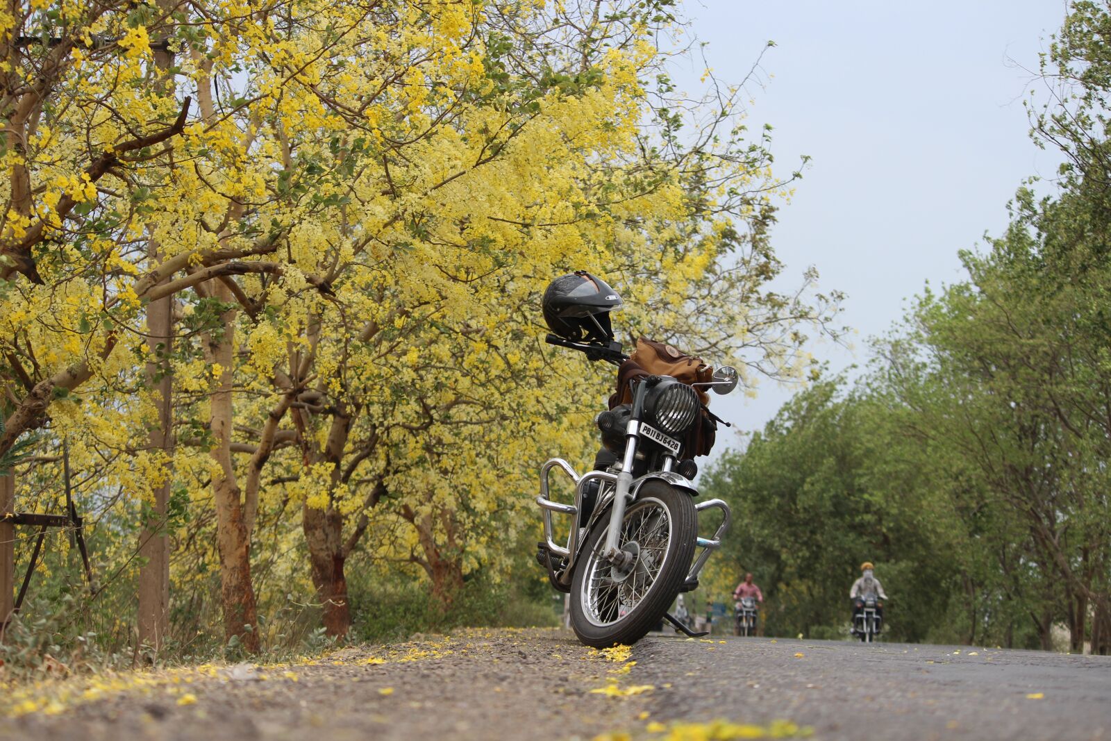 Canon EOS 600D (Rebel EOS T3i / EOS Kiss X5) sample photo. Leafs, flowers, patiala photography
