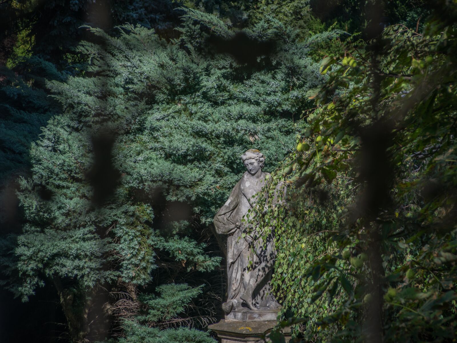 Nikon D5300 sample photo. Castle garden, still life photography