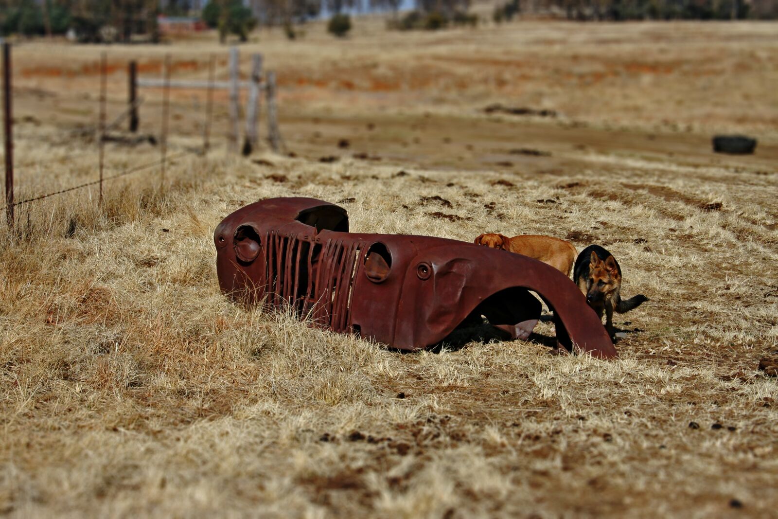 Canon EOS 350D (EOS Digital Rebel XT / EOS Kiss Digital N) sample photo. Farm, old car, antique photography