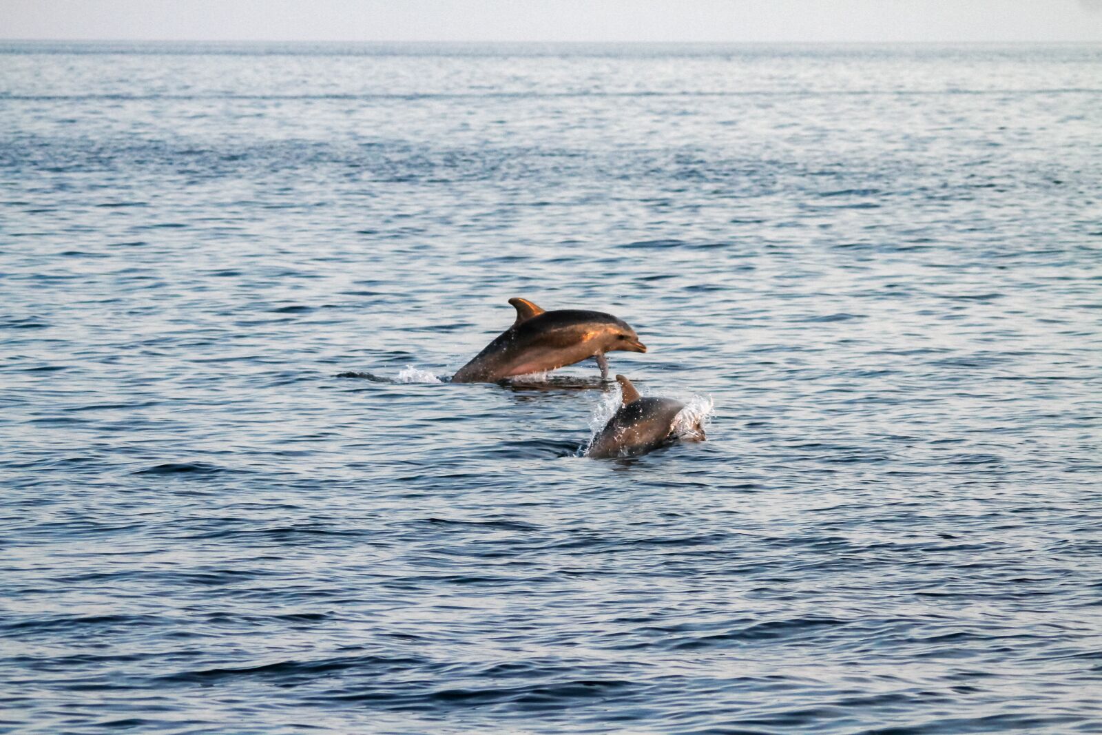 Canon EOS 7D sample photo. Waters, sea, nature photography