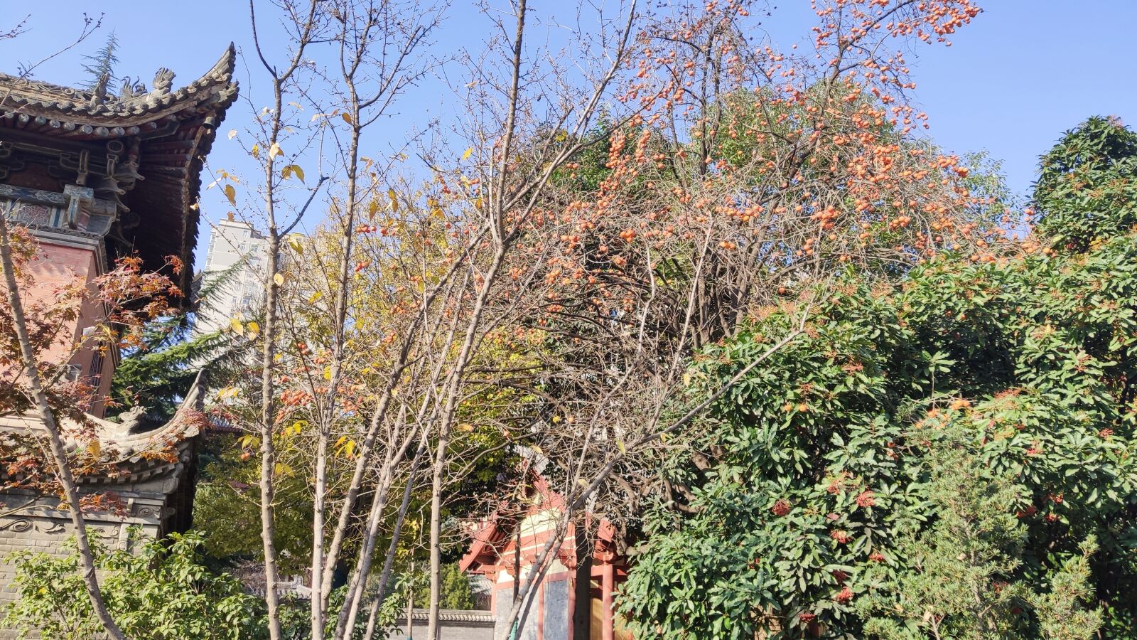 Xiaomi MI 9 sample photo. Xi'an, the scenery, daxing photography