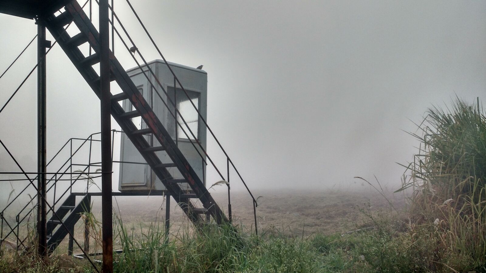 Motorola Moto X (2nd Gen) sample photo. Fog, winter, nature photography