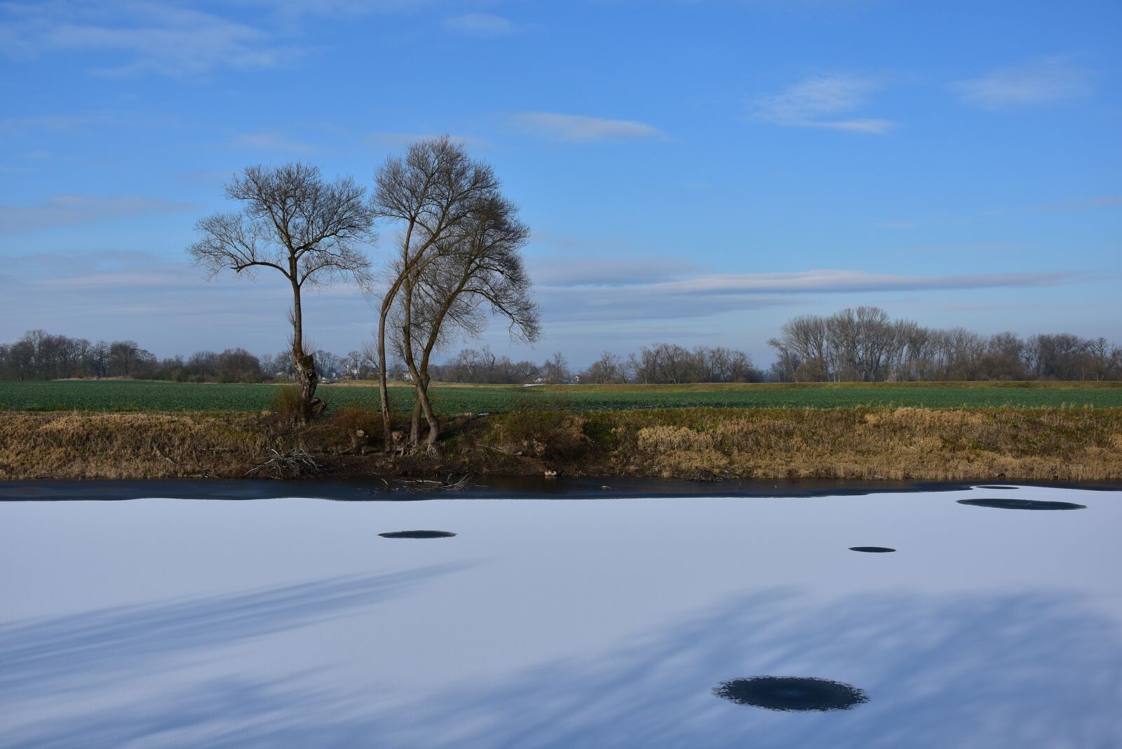 Nikon D5500 sample photo. Winter, pond, nature photography