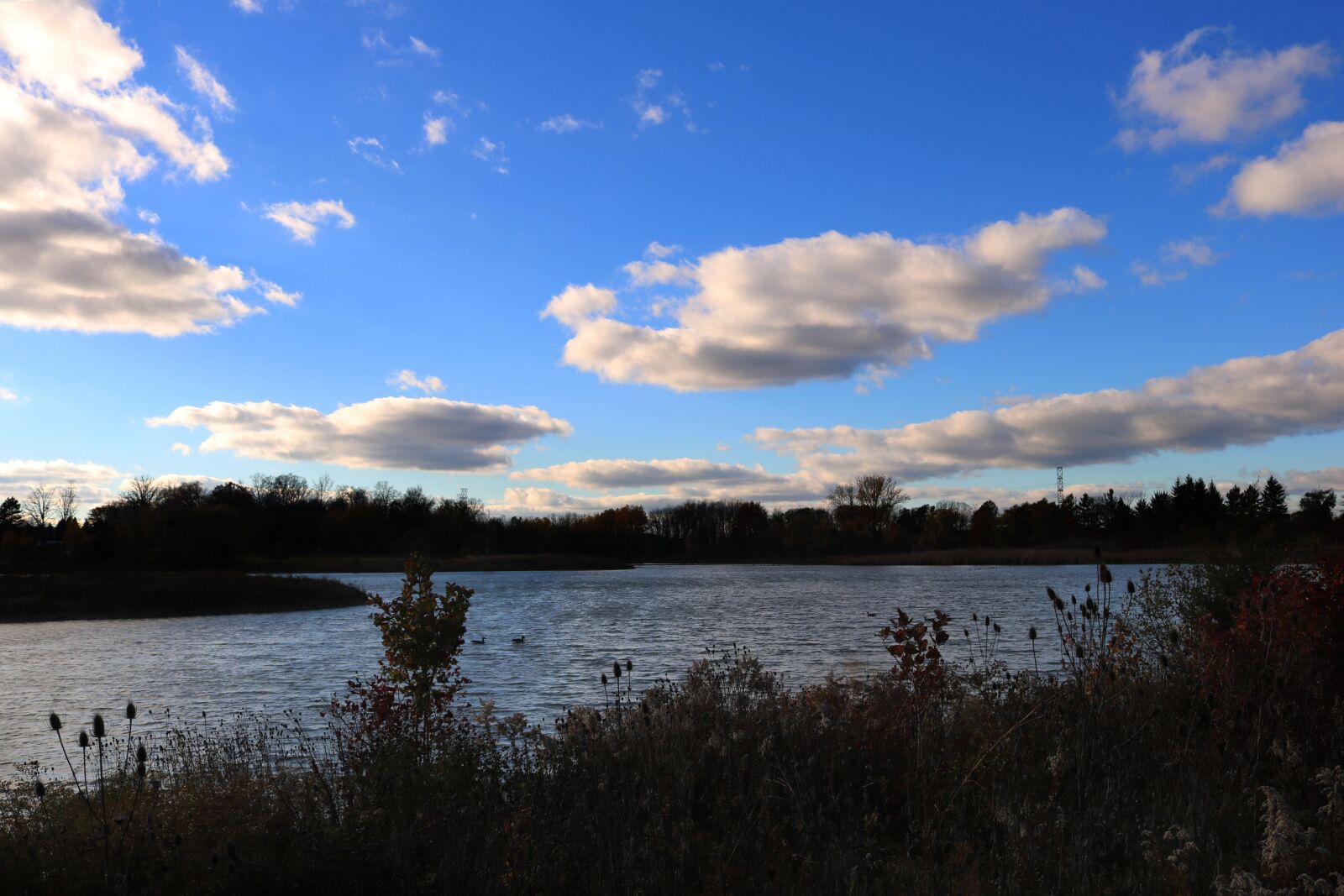 Canon EOS 750D (EOS Rebel T6i / EOS Kiss X8i) sample photo. Sky, blue sky, clouds photography