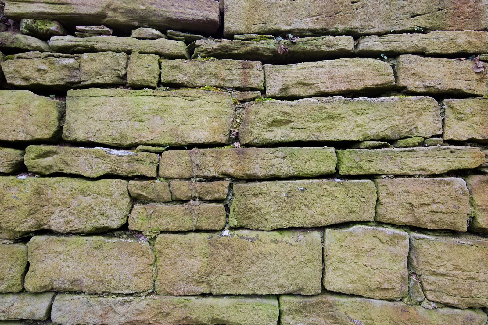 Canon EOS 6D sample photo. Stone, wall, pattern photography