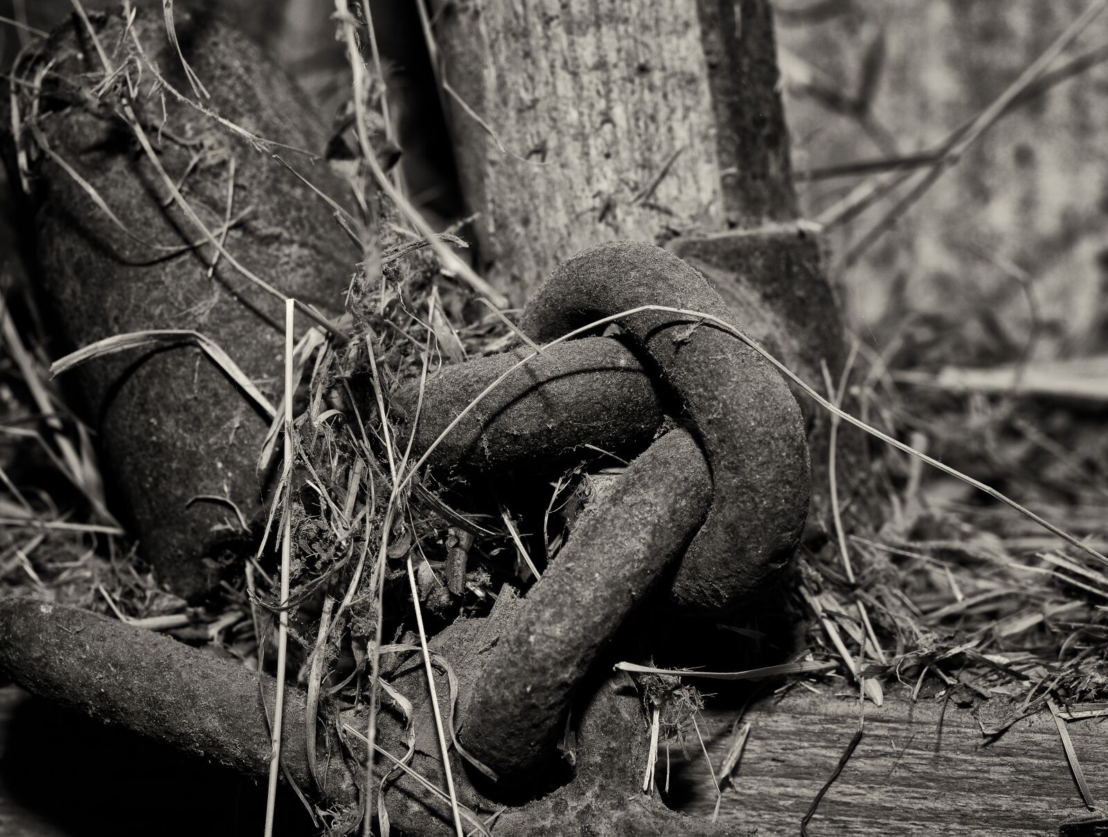 Nikon D7100 sample photo. Iron, iron parts, iron photography