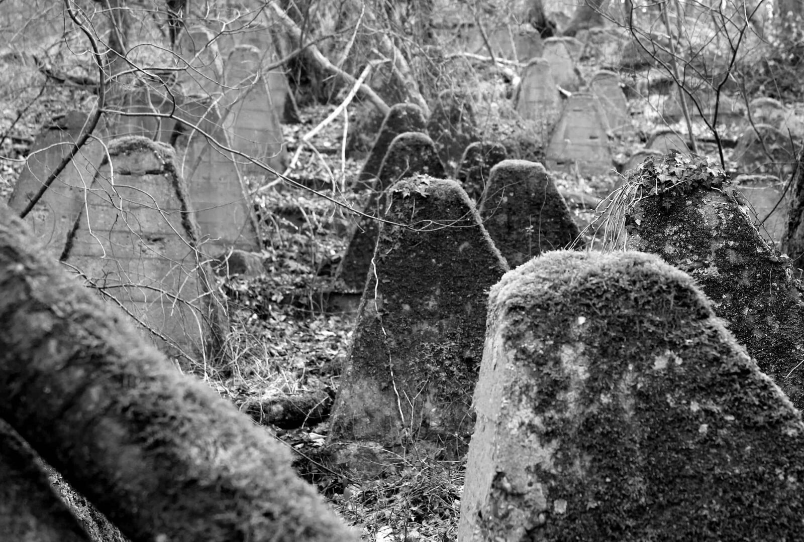 Canon EOS 550D (EOS Rebel T2i / EOS Kiss X4) sample photo. Concrete, barrier, monochrome, wood photography