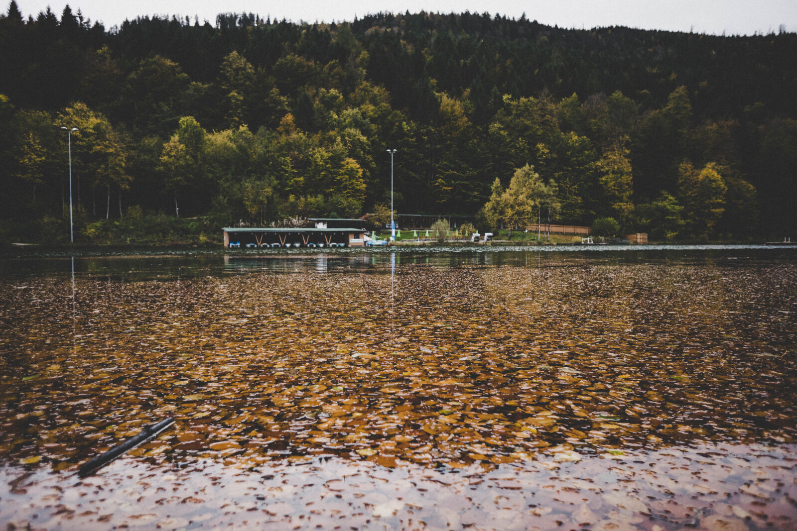 Sony E 16mm F2.8 sample photo. Autumn, lake, leaves, messenger photography