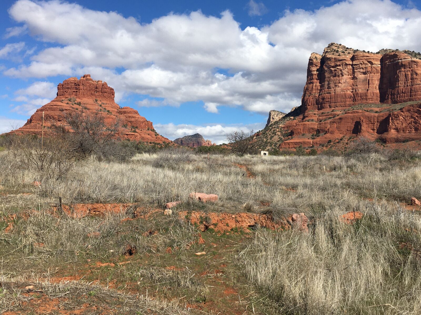 iPhone SE back camera 4.15mm f/2.2 sample photo. Sedona, arizona, desert photography