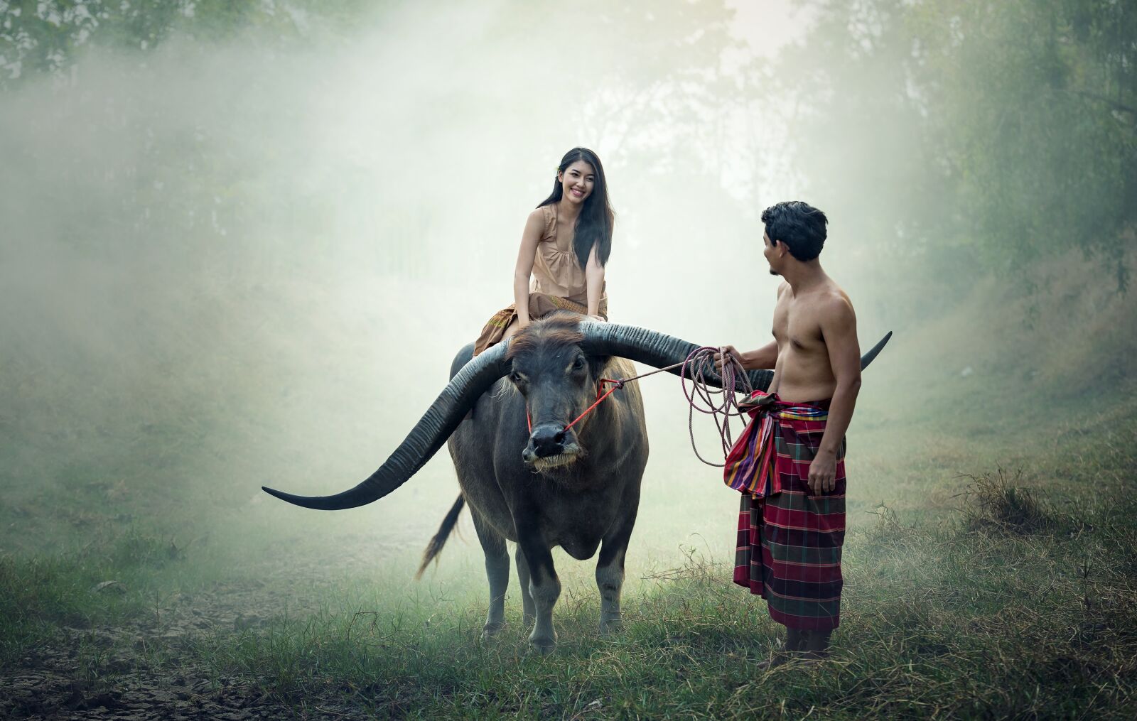 Nikon D810 sample photo. Asia, buffalo, cambodia photography