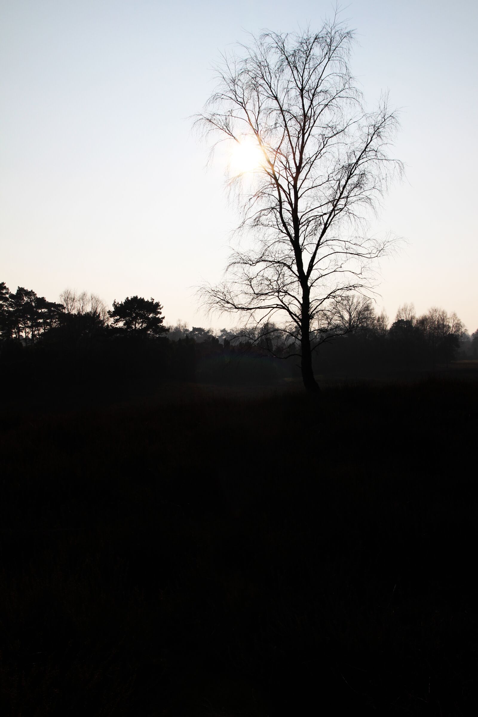 Canon EOS 700D (EOS Rebel T5i / EOS Kiss X7i) sample photo. Atmospheric, dark, atmosphere photography