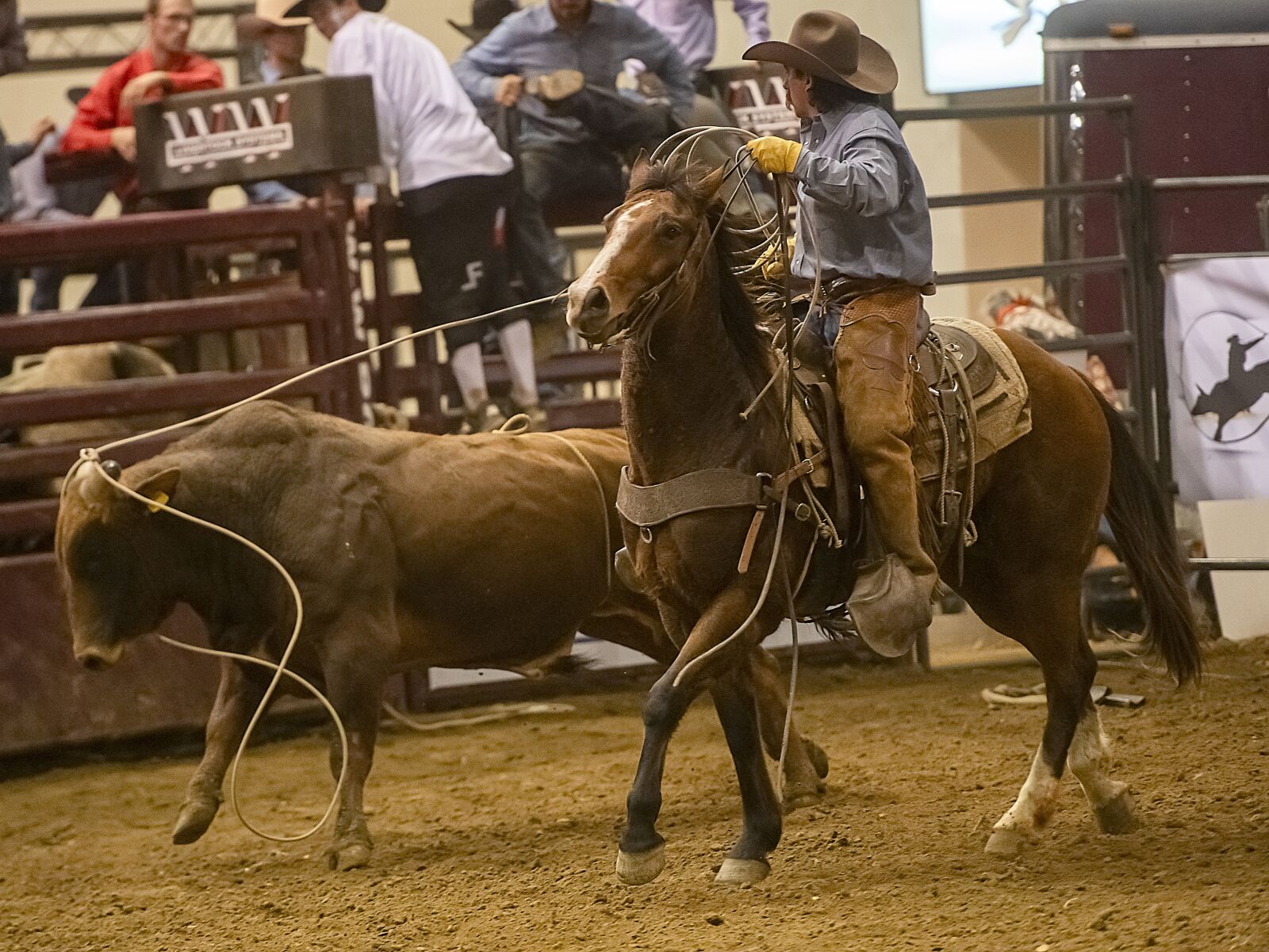 Nikon D850 sample photo. Cowboy, rodeo, western photography