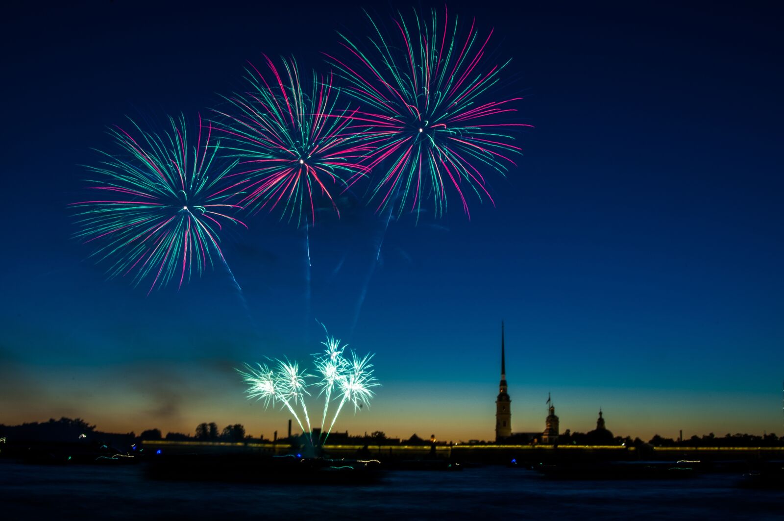 Nikon D300S sample photo. Salute, day of the photography
