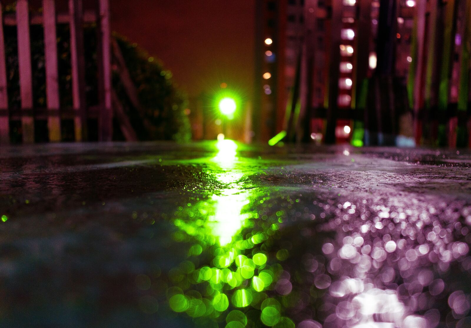 Nikon D3500 sample photo. Light, green, red photography