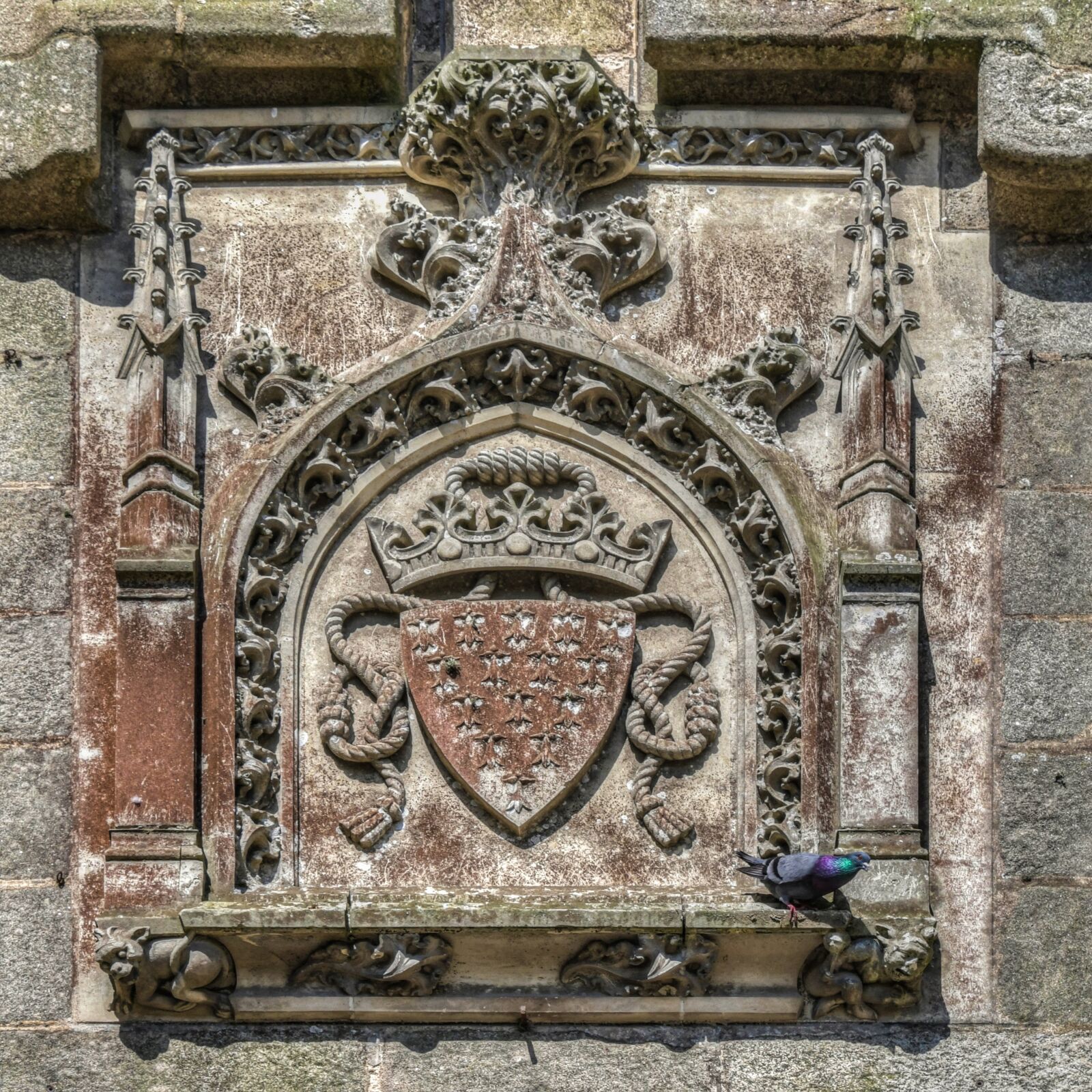 Nikon D500 sample photo. Coat of arms, emblem photography