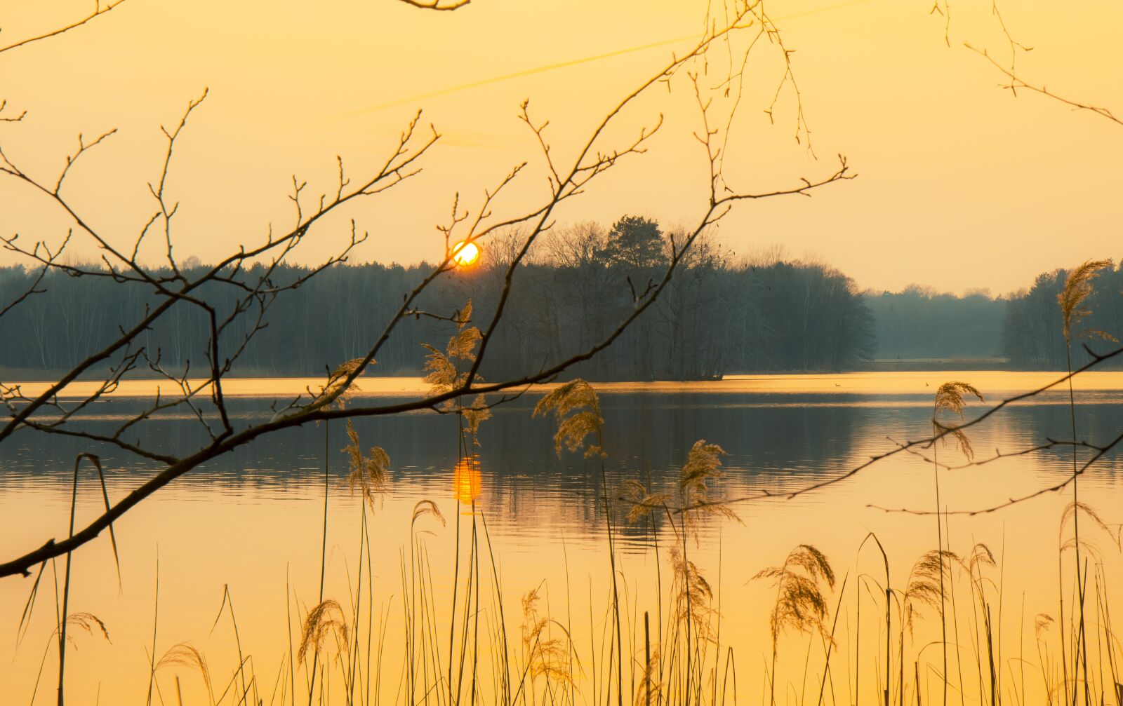 Canon EOS 80D sample photo. Waters, nature, dawn photography