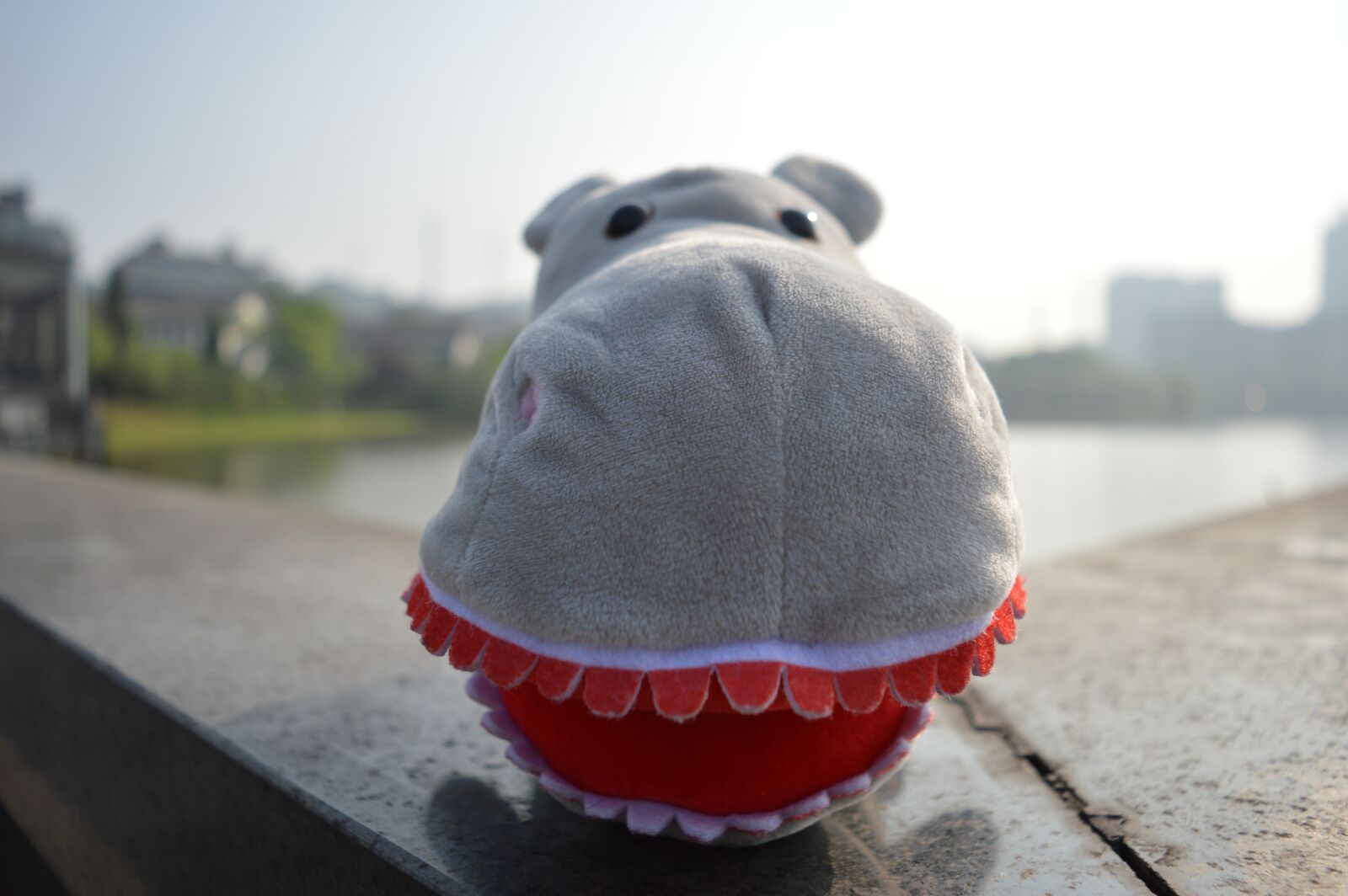 Nikon D3200 sample photo. Doll, hippo, child photography