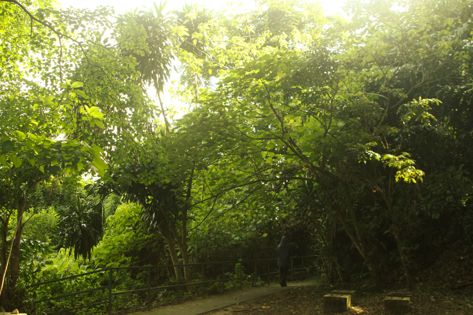 Canon EOS 7D sample photo
