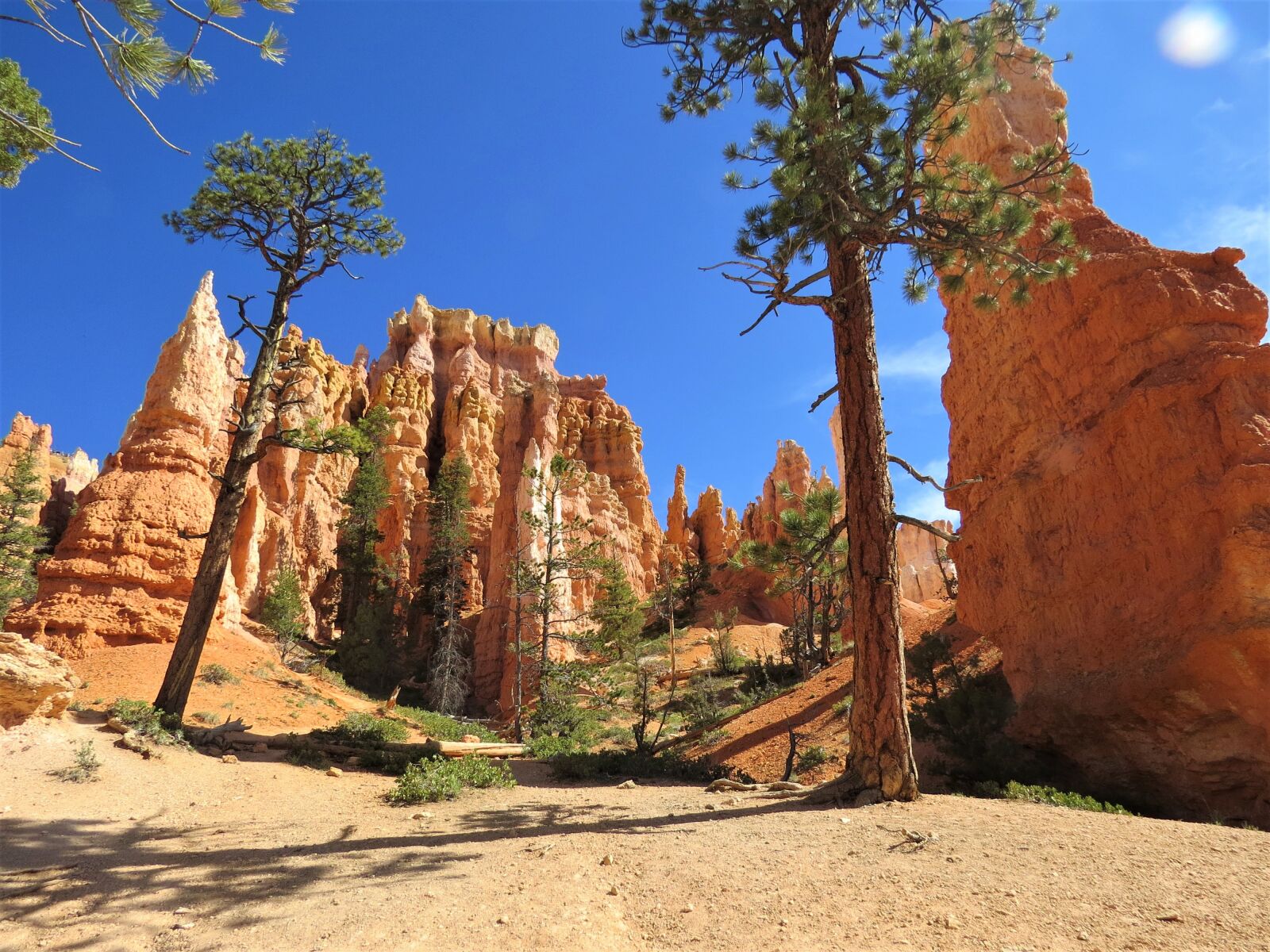 Canon PowerShot SX50 HS sample photo. Bryce canyon, hiking, utah photography