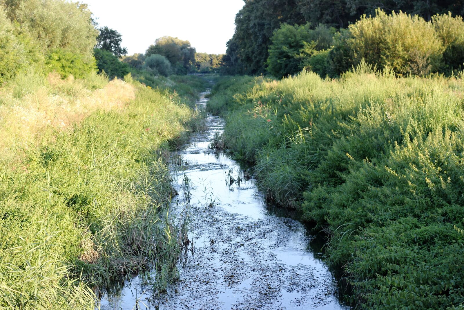 Canon EOS 550D (EOS Rebel T2i / EOS Kiss X4) sample photo. Water canal, grass, evening photography