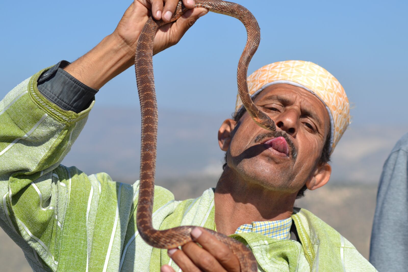 Nikon D3100 sample photo. Snake, trainer, morocco photography
