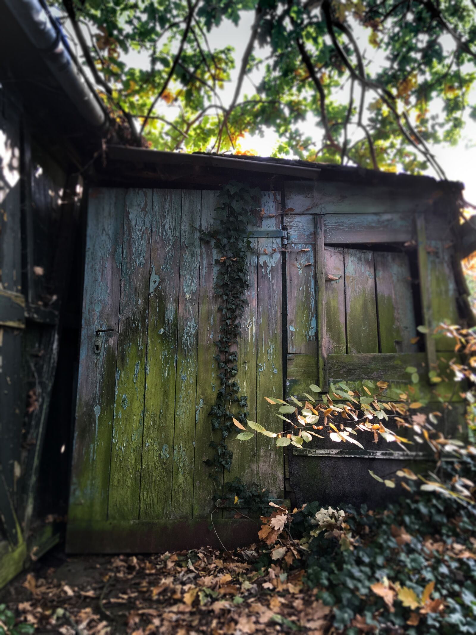 iPhone SE back camera 4.15mm f/2.2 sample photo. Bower, vintage, wooden wall photography