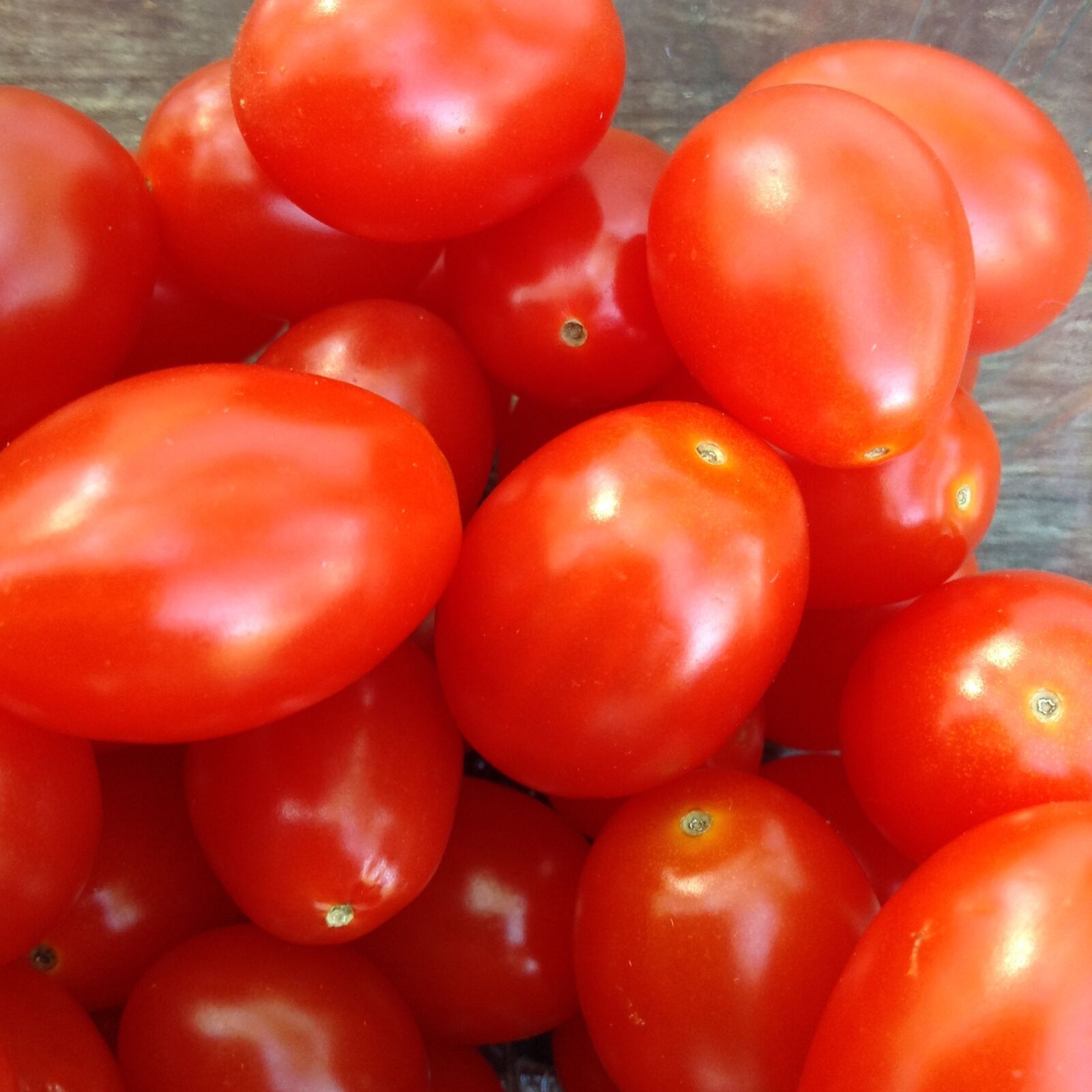 Apple iPad mini + iPad mini back camera 3.3mm f/2.4 sample photo. Tomatoes, red, vegetables photography