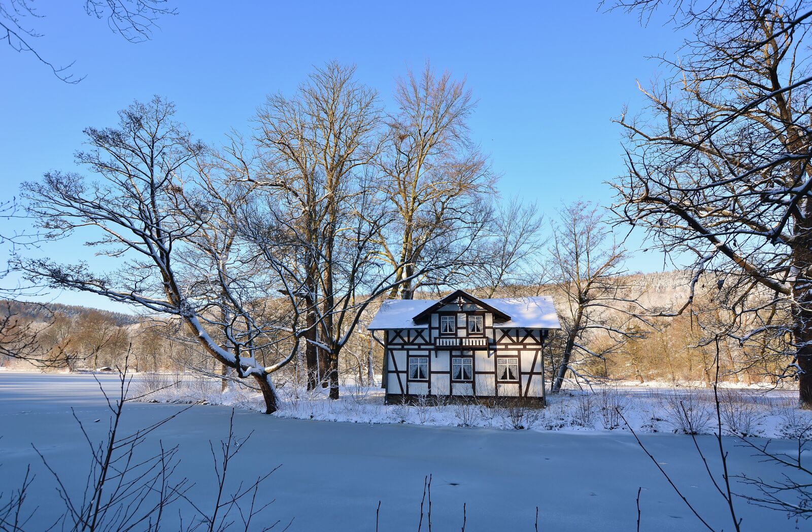 Nikon D5200 sample photo. Winter, park, park lake photography