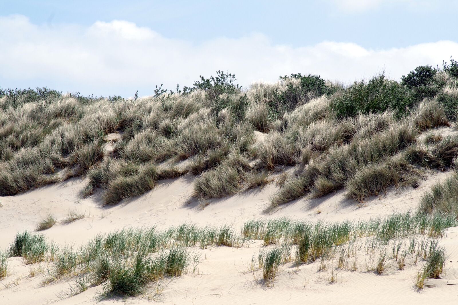 Pentax K-S2 sample photo. Sand, beach, dunes photography