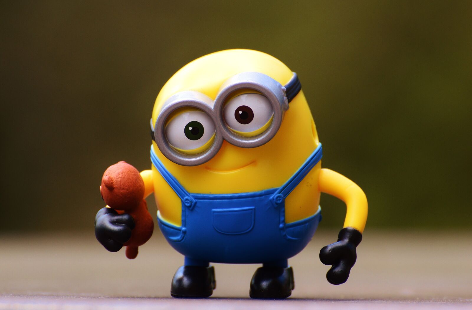Nikon D3200 sample photo. Minion, funny, bears photography