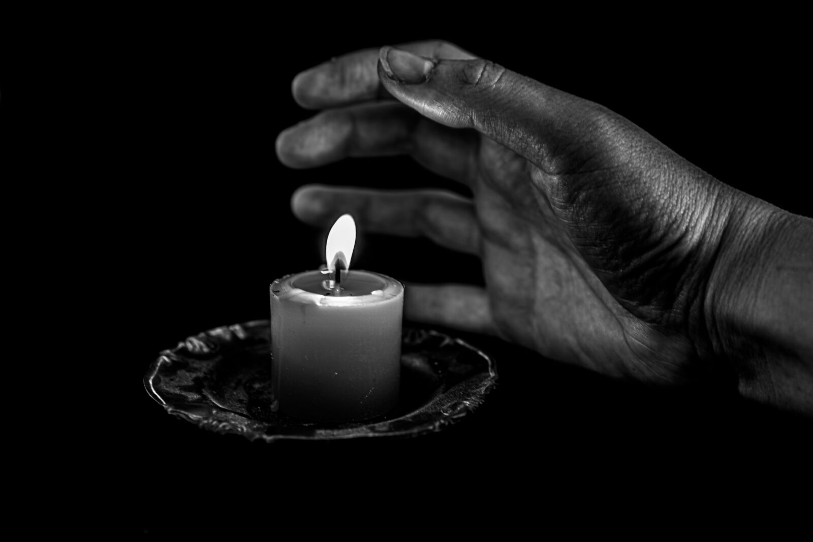 Canon 24-70mm F2.8 DG OS HSM | Art 017 sample photo. Hand, black and white photography