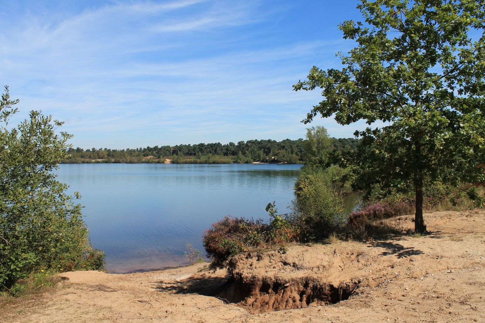 Canon EOS 1100D (EOS Rebel T3 / EOS Kiss X50) sample photo. Reindersmeer, maasduinen, netherlands photography