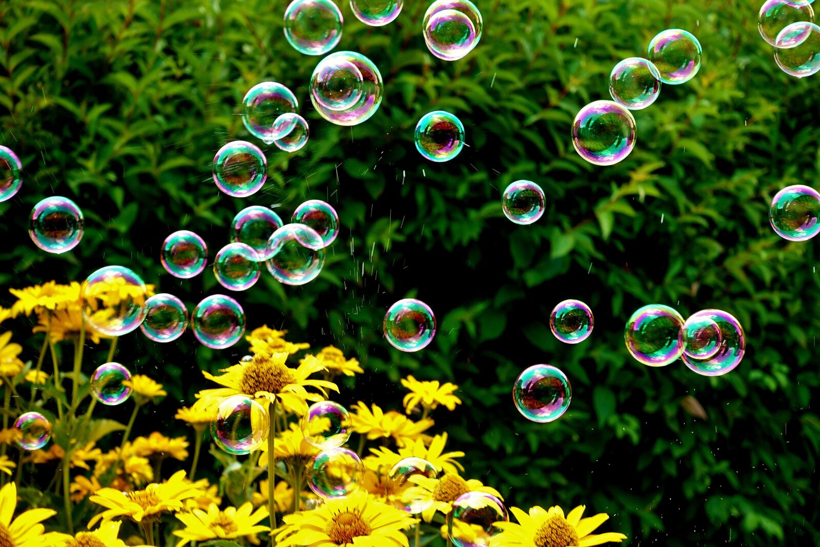 Sony DSC-RX100M5 sample photo. Soap bubbles, colorful, summer photography