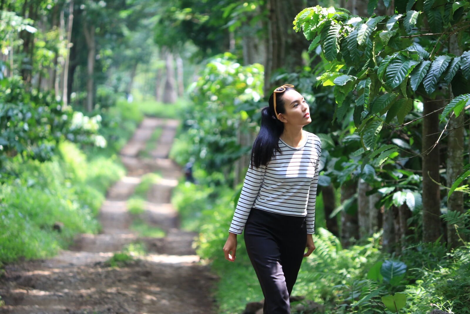 Canon EOS 750D (EOS Rebel T6i / EOS Kiss X8i) + Canon EF-S 55-250mm F4-5.6 IS II sample photo. Coffee, girl, plantation, road photography