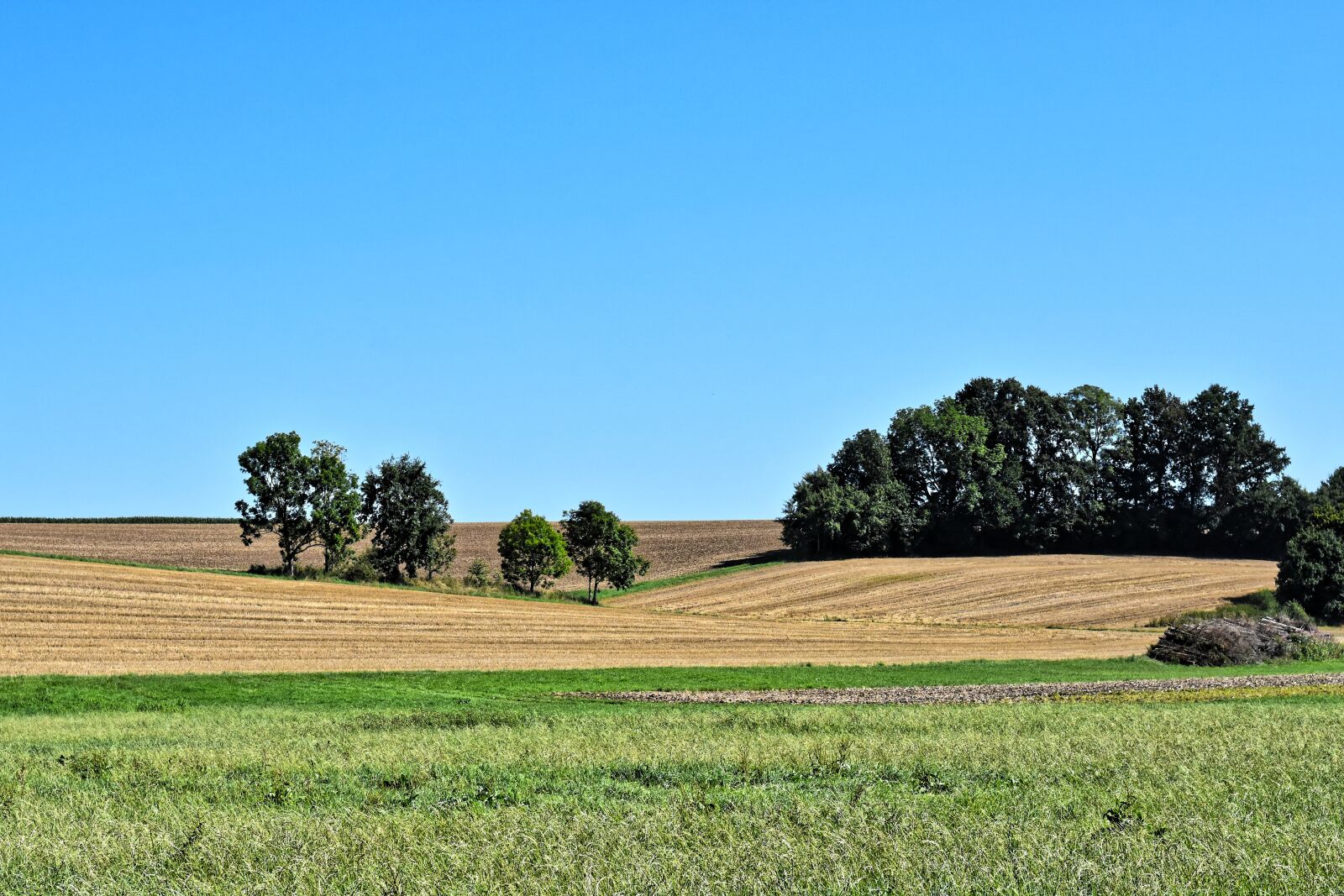 Nikon D7200 sample photo. Landscape, idyllic, nature photography