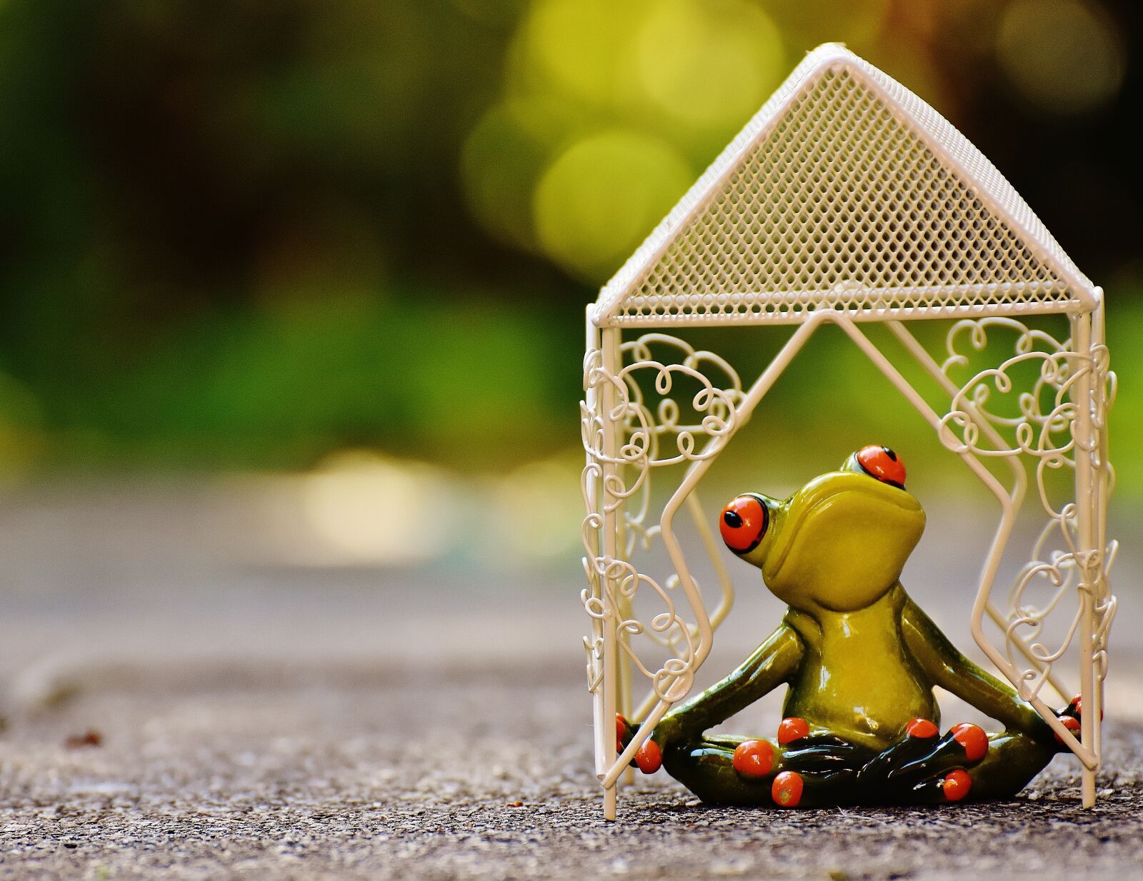 Nikon D7200 sample photo. Pavilion, frog, yoga photography