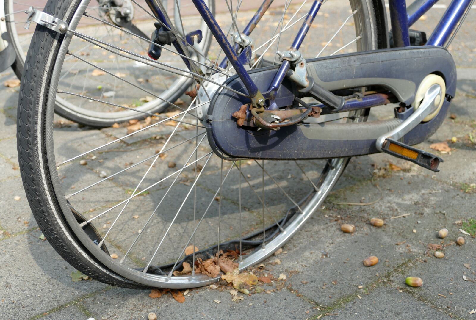 Panasonic Lumix DMC-FZ1000 sample photo. Bicycle, getting there and photography
