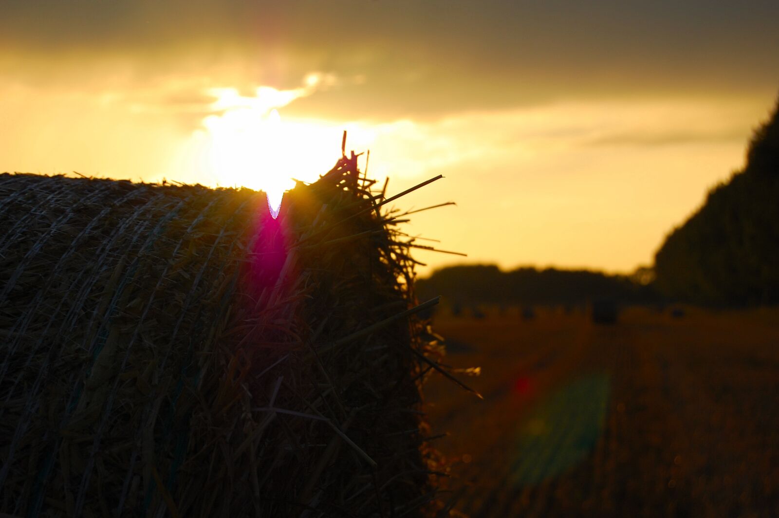 Nikon D40 sample photo. Sunset, dawn, dusk photography