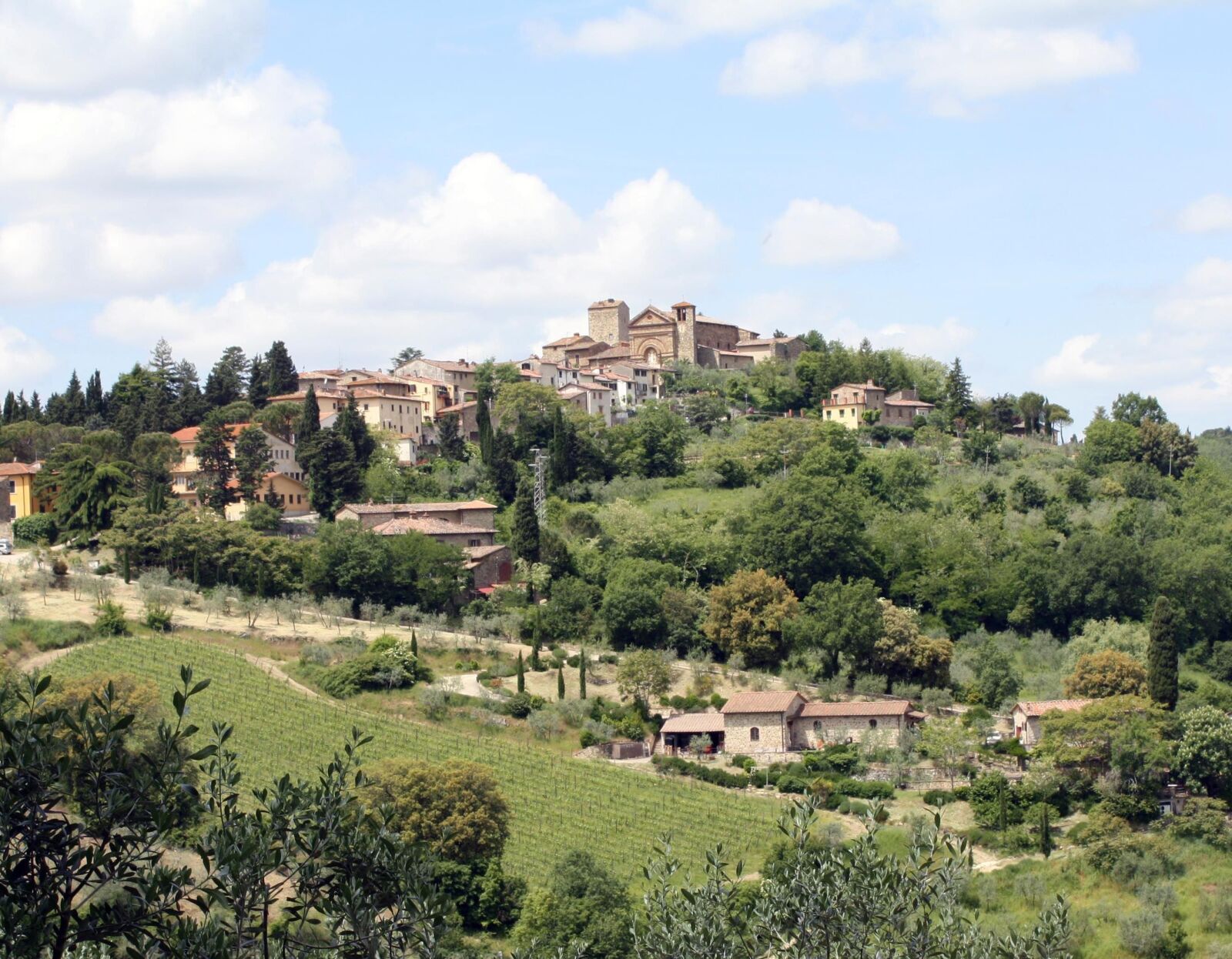 Canon EOS 1000D (EOS Digital Rebel XS / EOS Kiss F) sample photo. Tuscany, wine, landscape photography
