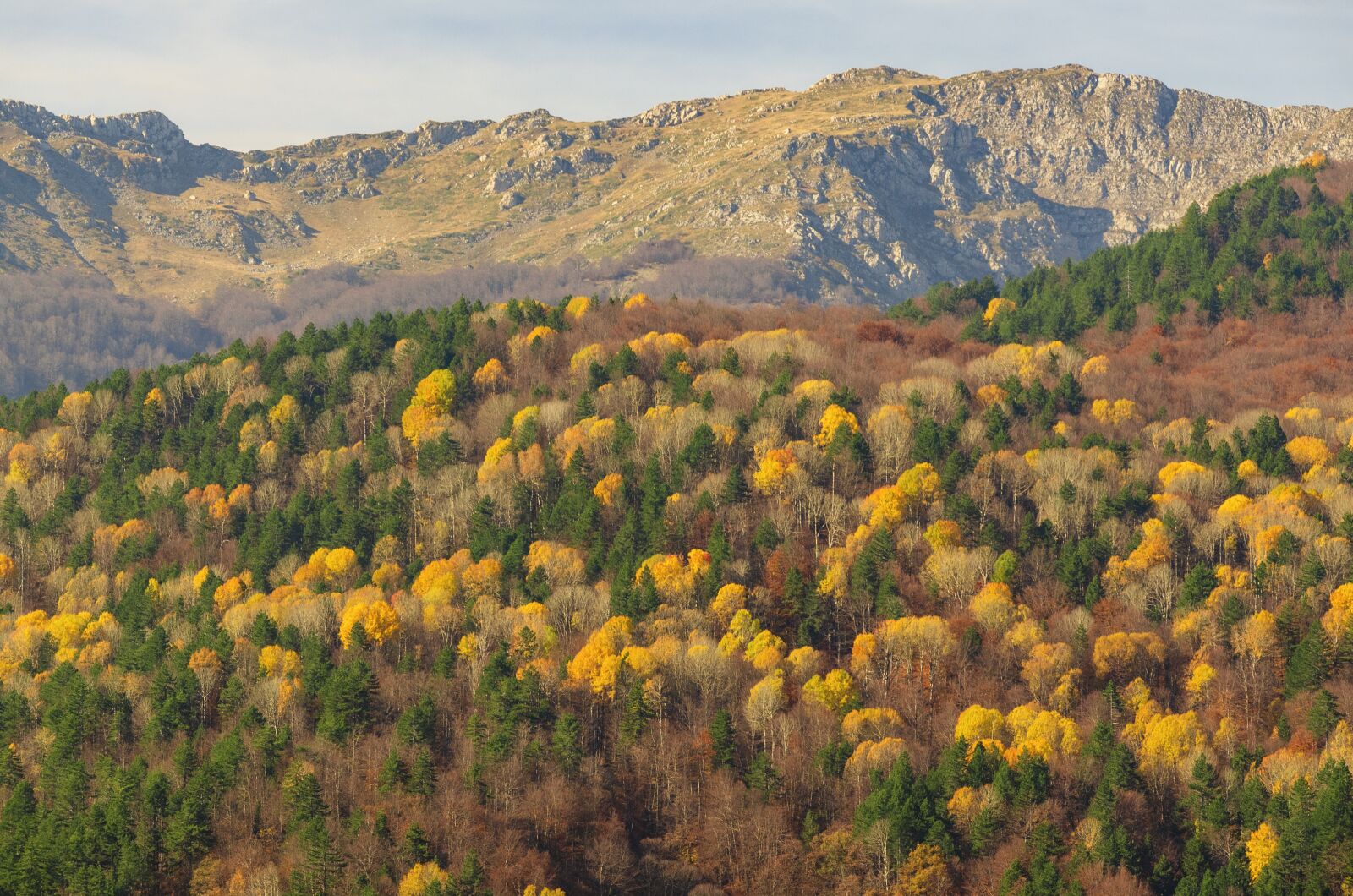 Nikon D7000 sample photo. Fall, mountain, trees photography