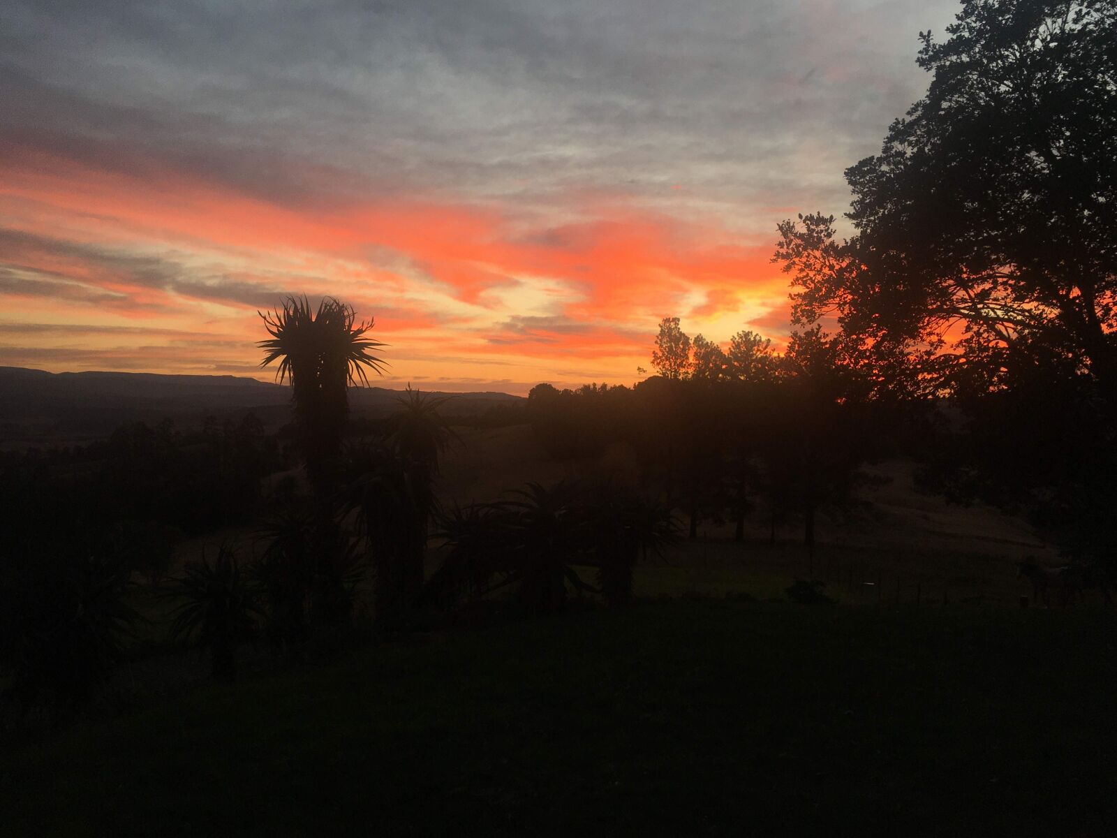 Apple iPhone 6s sample photo. Red, dawn, sun photography