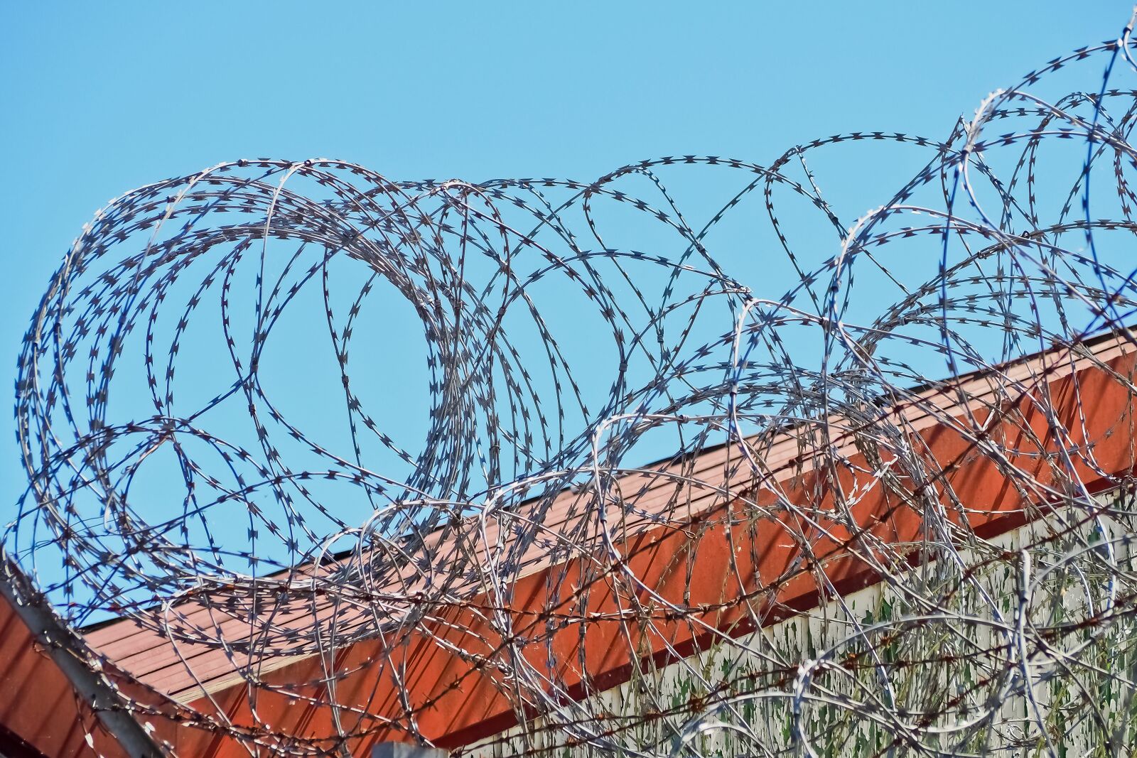 Olympus OM-D E-M10 sample photo. Barbed wire, backup, fence photography