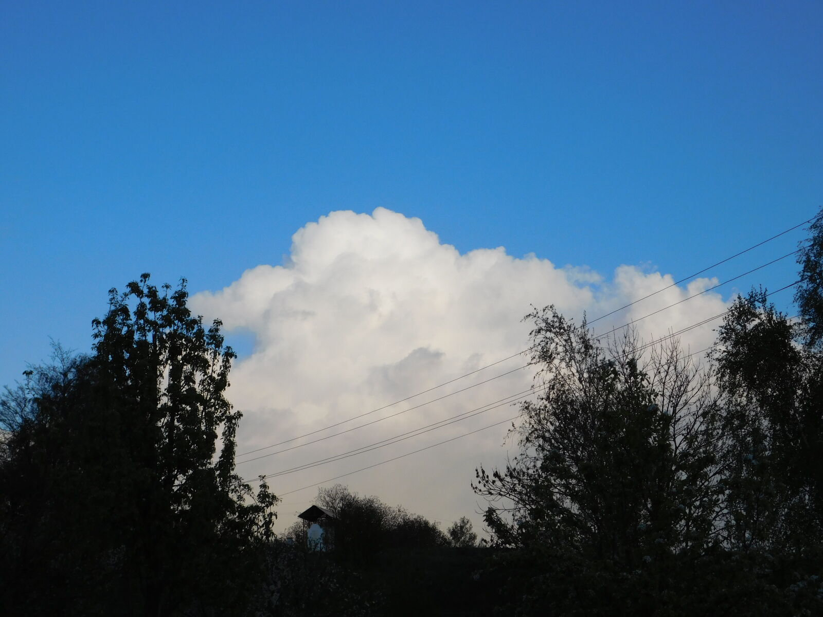 Nikon Coolpix L840 sample photo
